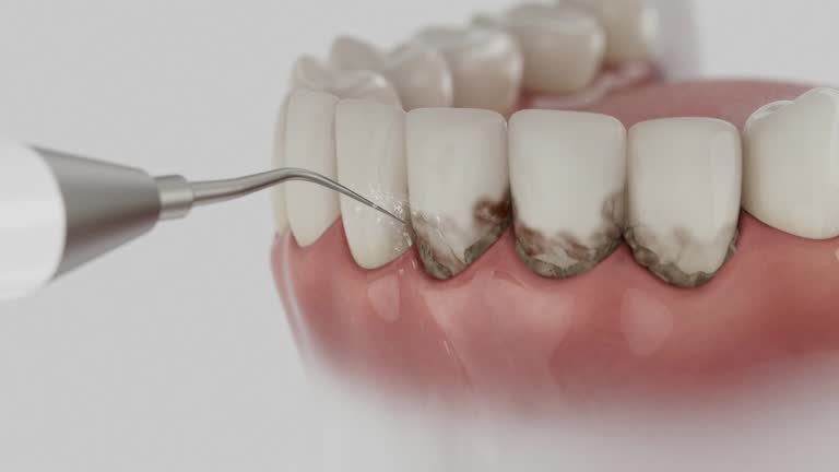 Reliable Dental contractor in Grosse Pointe Woods, MI by Dentist Open Now